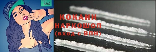 стаф Вяземский