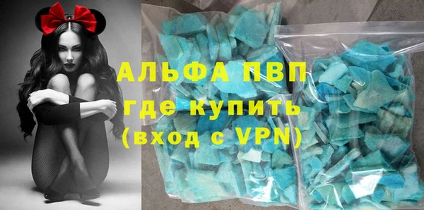 стаф Вяземский