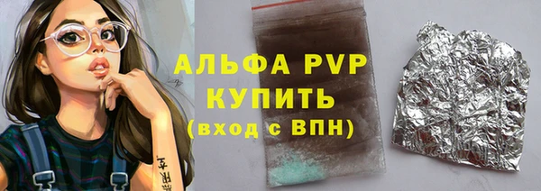 стаф Вяземский